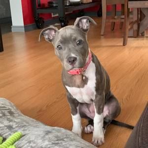 Meet your Posher, Debi